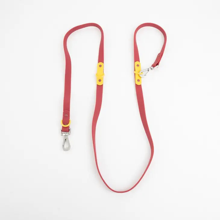 Approved by Fritz - Burgundy/Sun Leash