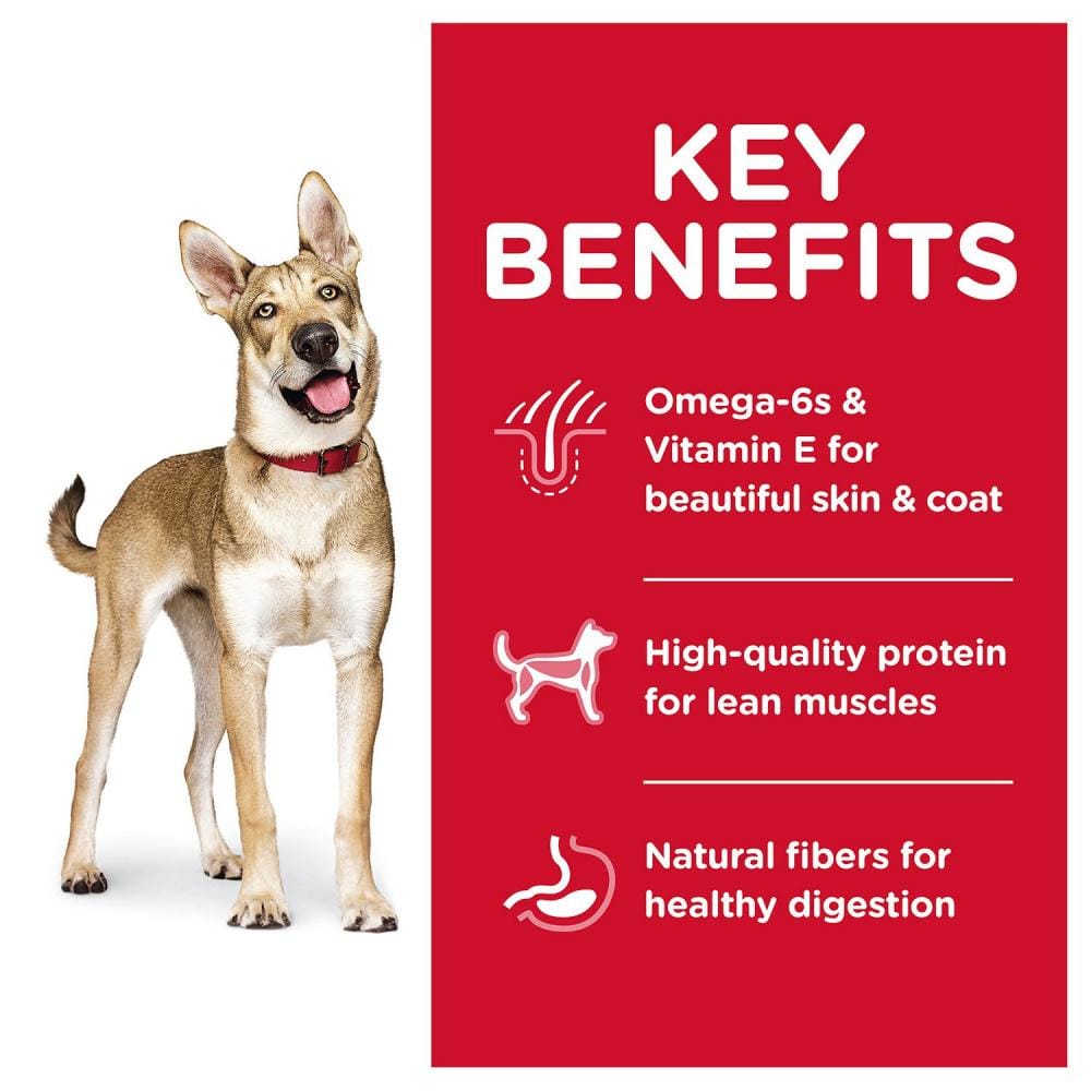 Hill's Science Diet Adult Lamb Meal & Brown Rice Recipe  Dry Dog Food