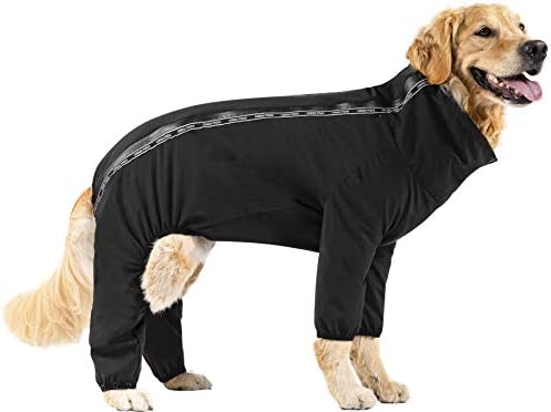 Canada Pooch Slush Suit Black