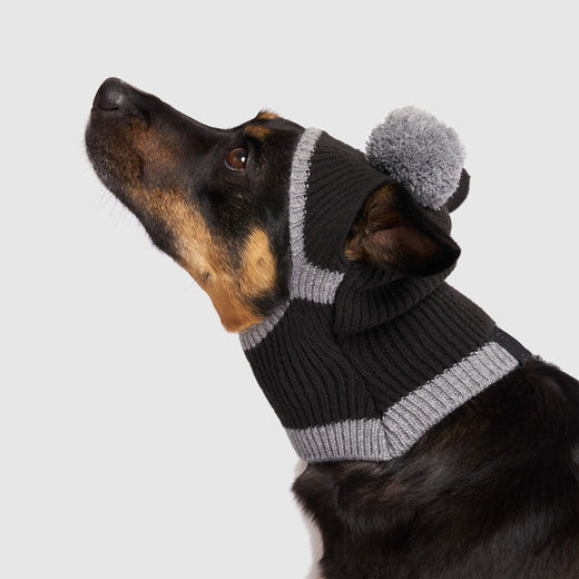 Canada Pooch Bandit Hat