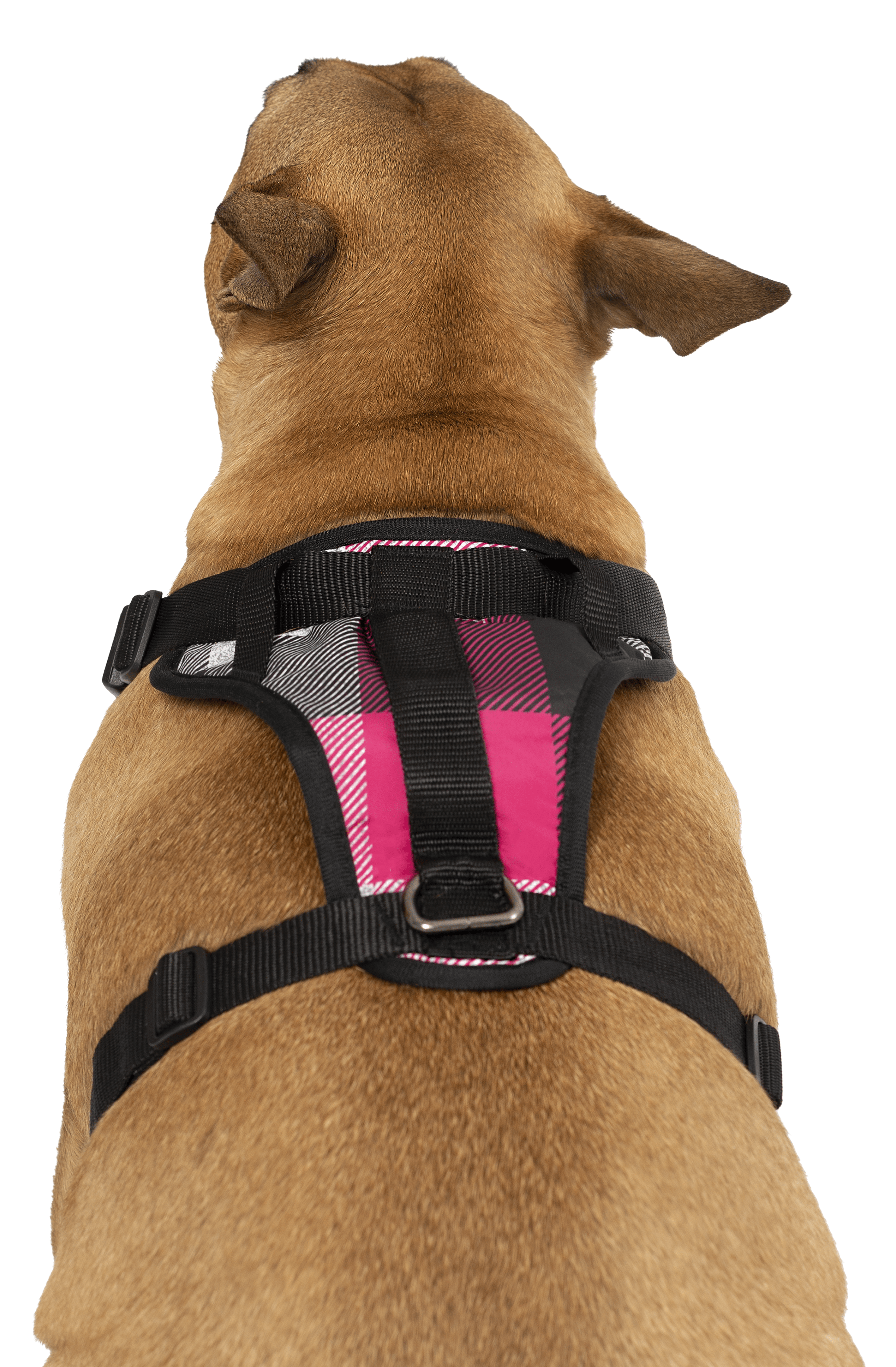 Canada Pooch Everything Harness Water-Resistant Series Pink Plaid Harness for Dogs