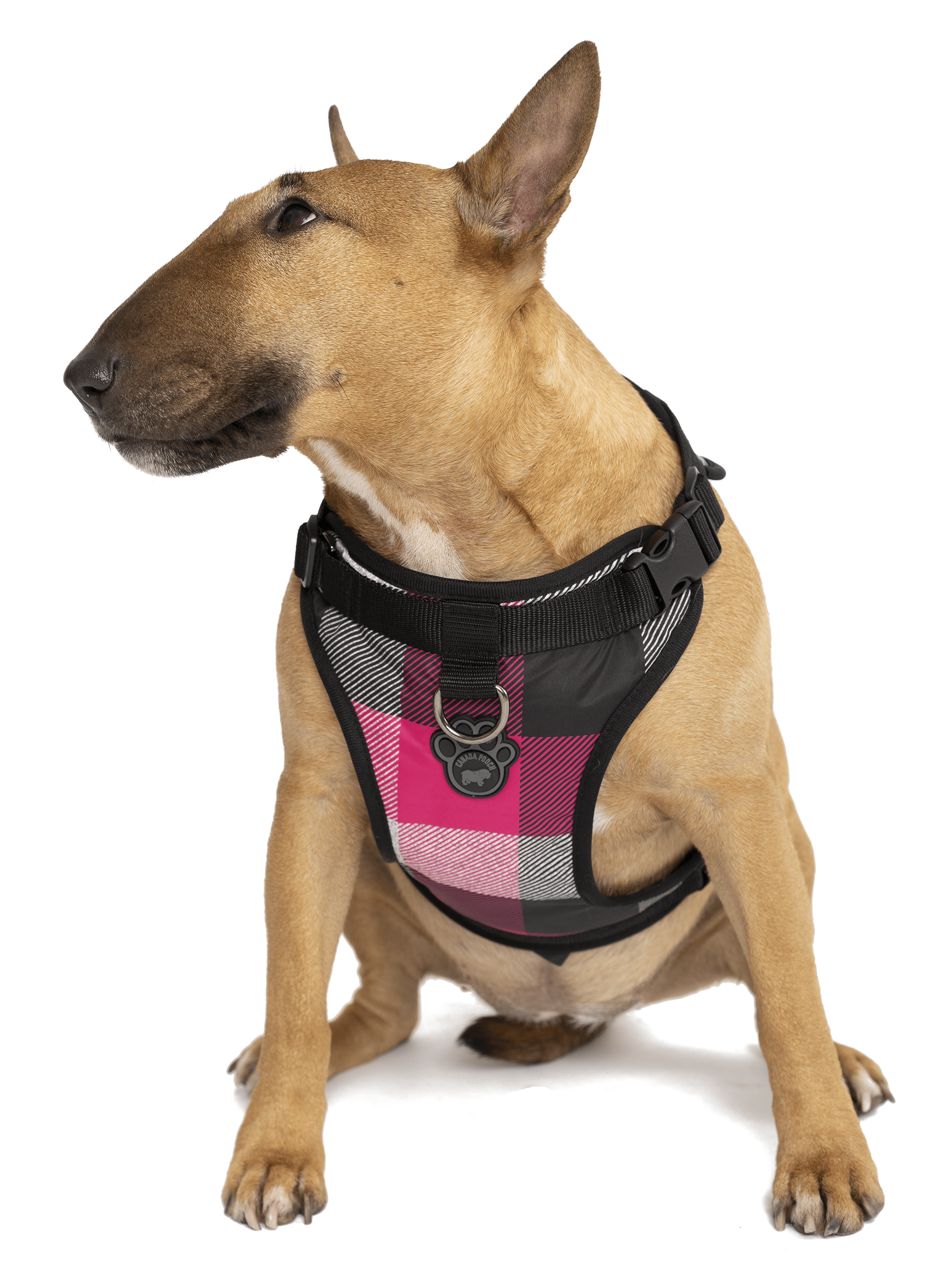 Canada Pooch Everything Harness Water-Resistant Series Pink Plaid Harness for Dogs