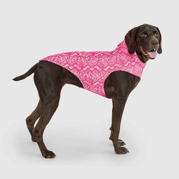 Canada Pooch Pick Me Poncho Snake Skin 28”