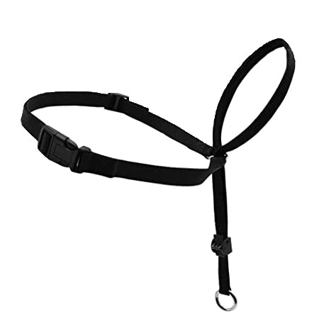 Headcollar Adjustable Dog Harness